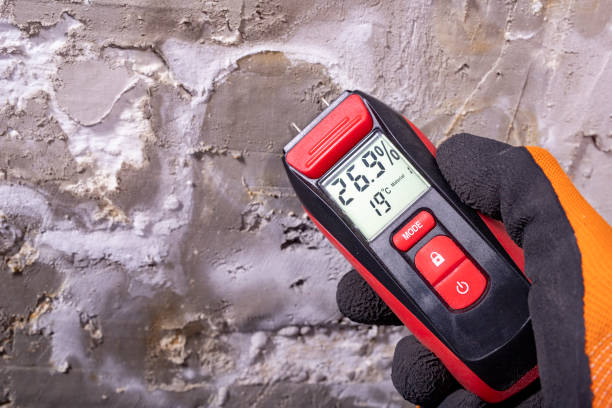 Crawl Space Mold Removal in Brewster, OH