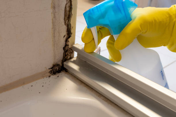 Best Crawl Space Mold Removal  in Brewster, OH