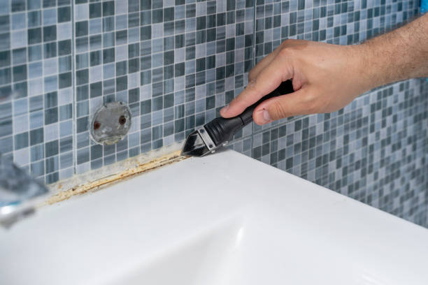 Best Fast Mold Removal  in Brewster, OH